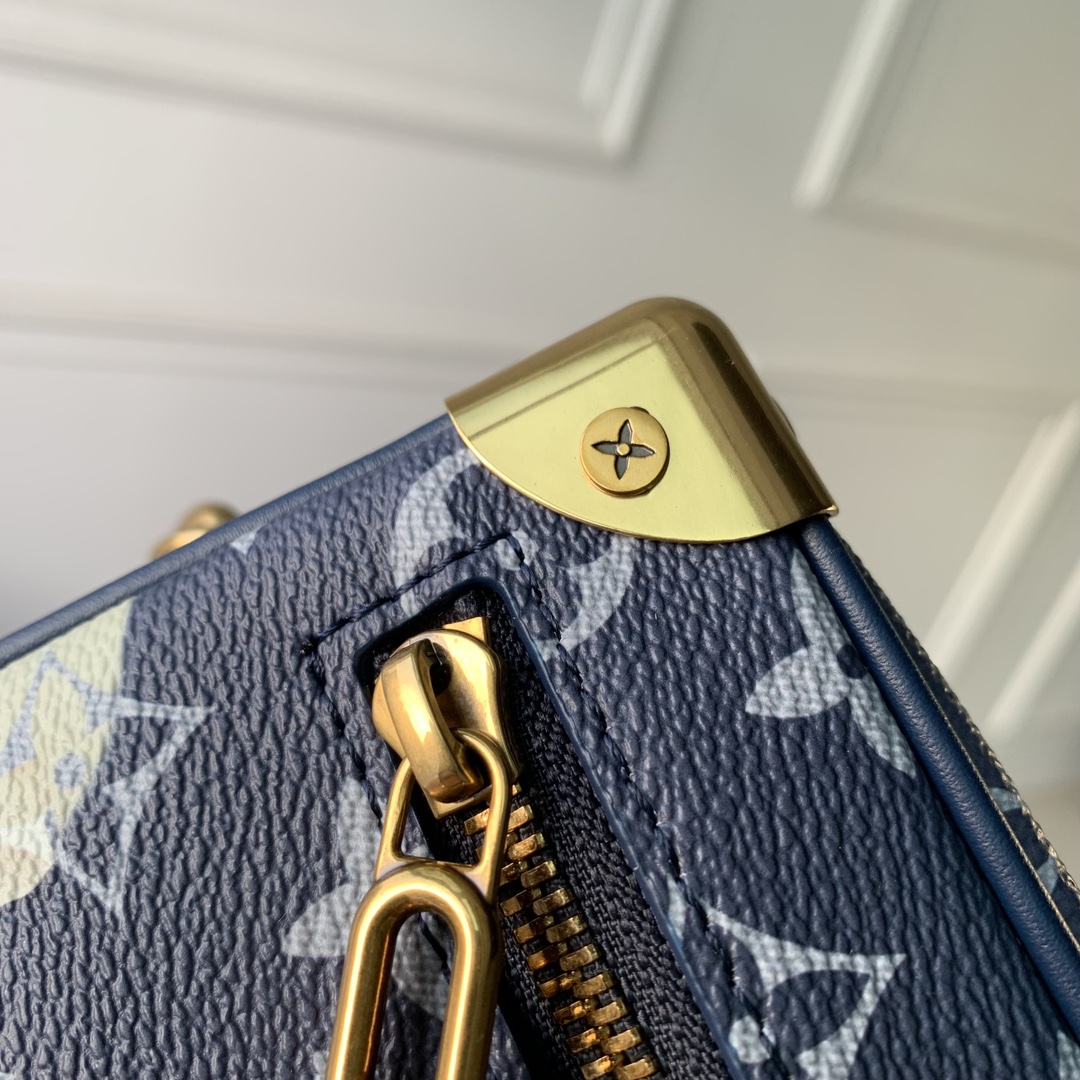 LV Satchel bags